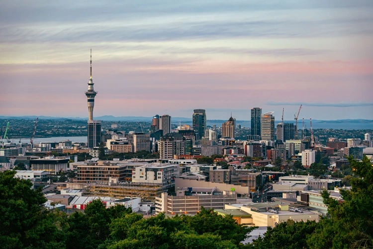 The Auckland skyline at dusk, viewed across the suburbs Flora services